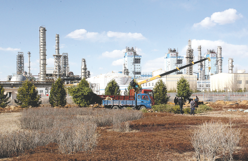 智商测试游戏平台